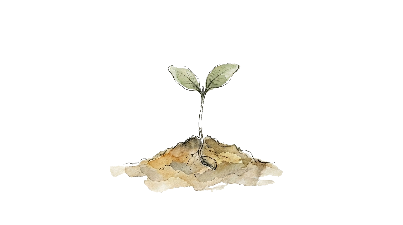 A seedling — growth and patience